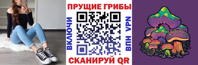 Псилоцибиновые грибы MAGIC MUSHROOMS  купить закладку  мега ONION  Дмитриев 